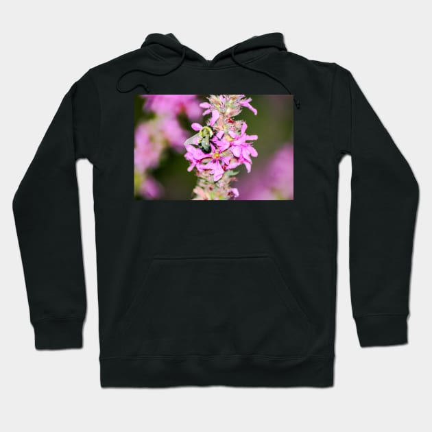 Pollen, Nectar Summer Hoodie by srosu